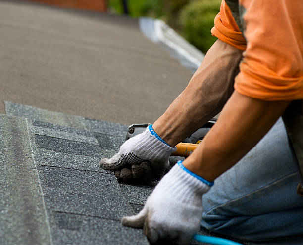 Best Local Roofing Companies  in Saint John Fisher College, NY